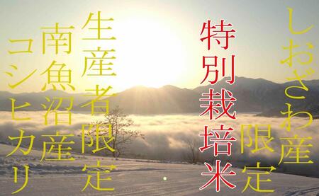 【令和7年産】【定期便5kg×9ヶ月】特別栽培 しおざわ産限定 生産者限定 南魚沼産コシヒカリ【2025年10月上旬より順次発送予定】