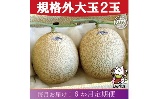 ＜毎月定期便＞＜規格外BIGサイズ!＞クラウンメロン規格外大玉1.7　2玉詰 全6回_ メロン クラウンメロン めろん 定期便 全6回 化粧箱 果物 くだもの フルーツ 甘い 贈答 ギフト プレゼント 産直 産地直送 【4051464】