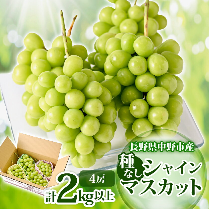 【ふるさと納税】【2025年発送】長野県 中野市産 シャインマスカット4房(2.0kg以上)_ シャインマスカット 葡萄 ぶどう ブドウ フルーツ 果物 ふるーつ くだもの 国産 旬 ギフト ジューシー 甘い プレゼント 贈り物 【配送不可地域：離島・北海道・沖縄県】【1331114】