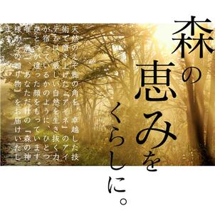 鹿角ブレスレット 8ｍｍ22粒_I021-1200