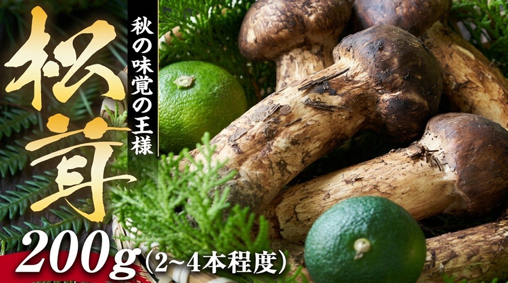 
                  松茸 200g 約2～4本程度 きのこ キノコ 秋の味覚 野菜 [№5675-1283]
                