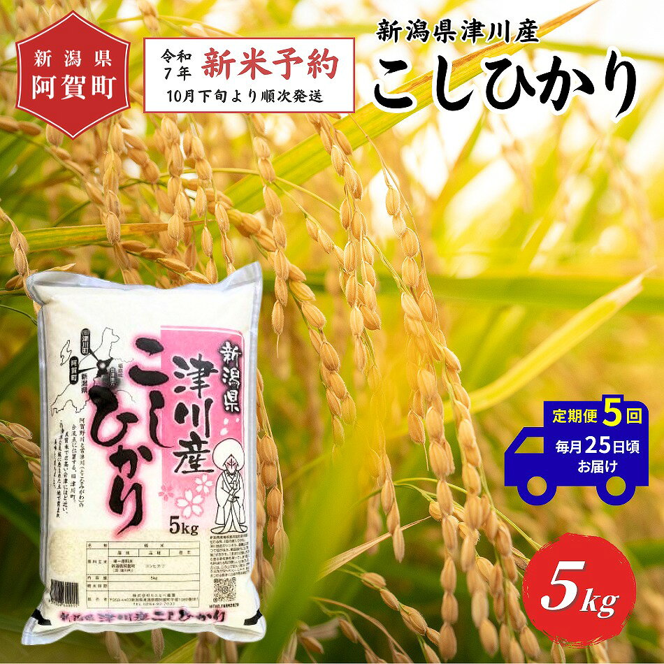 【ふるさと納税】 《先行予約》＜定期便5回＞ 米 5kg 新潟県産 「津川産 コシヒカリ」 令和7年産 5kg × 1袋 | 白米 精米 こしひかり 送料無料 お取り寄せ お米 ※2025年10月下旬頃より順次発送