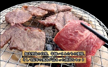 限定50セット【知夫里島】経産牛焼肉用バラエティーミックス５００ｇ経産牛/焼き肉/バーベキュー/鉄板焼き/牛肉/黒毛和牛/ セット/冷凍