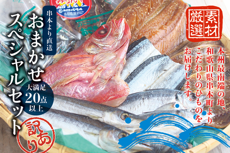 干物 【訳あり干物セット】たっぷり20点以上！おざきのひもの「おまかせスペシャルセット」【冷蔵】/ 【ozk103】