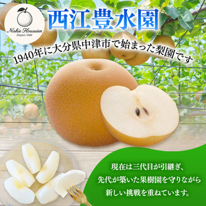 西江豊水園の菊水梨 約3kg ( 8個前後 ) | フルーツ 果物 くだもの 果実 数量限定 旬 完熟梨 梨 なし ナシ 菊水 菊水梨 和梨 3kg 3キロ 新鮮 産地直送 大分県産 九州産 国産 大