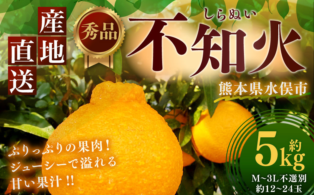 不知火 秀品 約5kg しらぬい 柑橘 果物 フルーツ 【2025年1月下旬から2025年4月下旬発送予定】