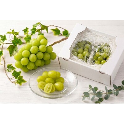 【全房糖度計測】糖度18度以上のみ出荷 シャインマスカット2kg(4～5房)2026年8月～9月発送【配送不可地域：離島】
