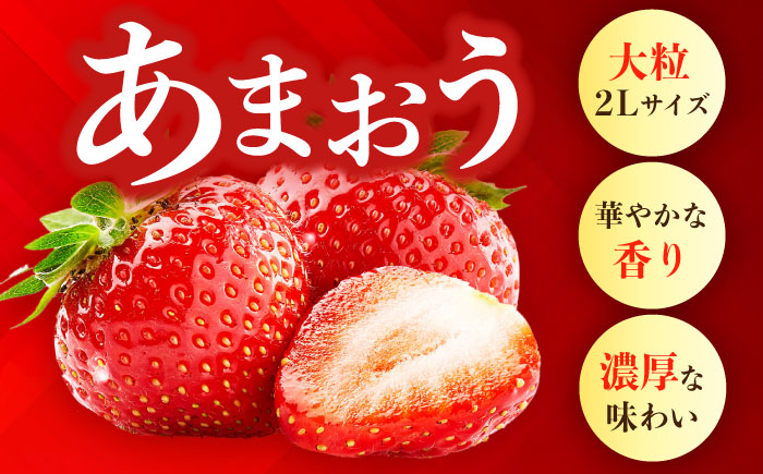 【先行予約】農家直送 朝採り新鮮いちご【博多あまおう】約270g×4パック【2027年1月以降順次発送】《築上町》【株式会社H&amp;Futures】 [ABDG002]