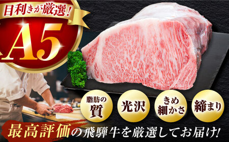 【6月発送】特選飛騨牛 ヒレステーキ 450g(150g×3枚) / 飛騨牛 焼肉 ステーキ 肉 サーロイン サーロインステーキ A5ランク 牛肉 岐阜県 / 御嵩町 / 肉のキング[AVAG017-