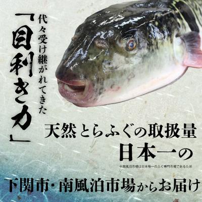 ふるさと納税 下関市 とらふぐ刺身セット (3人前) 冷凍 3皿 フグ刺し BV001 |  | 02