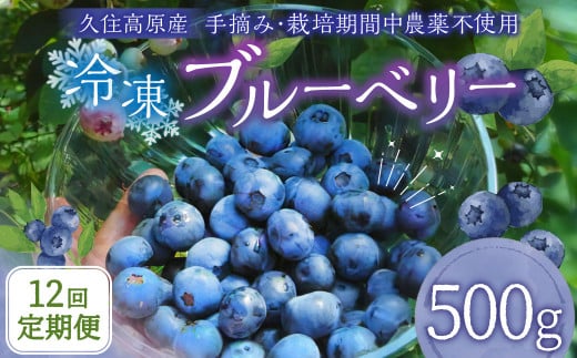 【12回 定期便】久住高原 冷凍 ブルーベリー 500g 計6kg 栽培期間中農薬不使用 手摘み 【2025年7月下旬より順次発送開始予定】