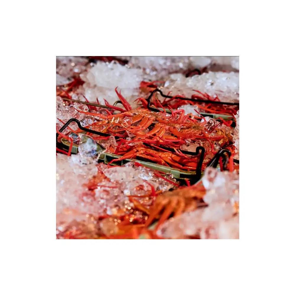 訳あり 蟹 紅ずわい蟹 2kg（4〜6枚） 年末年始 限定 冷凍 ボイル 境港産 鳥取県産 【鳥取県 境港市】
