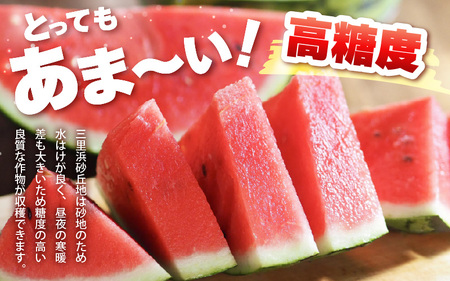 【先行予約】坂井市三里浜砂丘地産 大玉スイカ 2Lサイズ 1玉（7kg以上） 【2026年6月上旬以降順次発送予定】 【スイカ 西瓜 すいか デザート 果物 くだもの 夏 ジューシー 高糖度 お取り寄