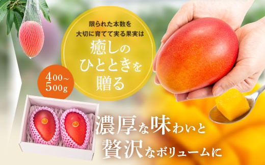 【B15002】【先行受付】肝付町産　完熟マンゴー　ご褒美セット_イメージ5
