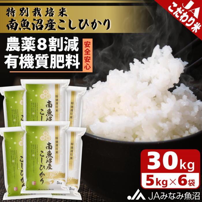 【ふるさと納税】【令和7年産】特別栽培米南魚沼産こしひかり8割減 30kg 精米 農薬8割削減 有機肥料 精米HACCP認定工場 特A獲得日本一産地 高品質精米 もっちり甘い 南魚沼産コシヒカリ | お米 こめ 白米 食品 人気 おすすめ 南魚沼 南魚沼市 新潟県 精米