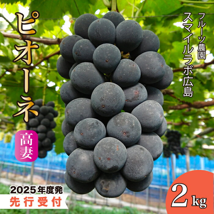 【ふるさと納税】【先行受付】高妻2kg（ピオーネ）ブドウ 葡萄 高妻 新鮮 産地直送 広島県三原市【2025年9月以降順次発送】 059004