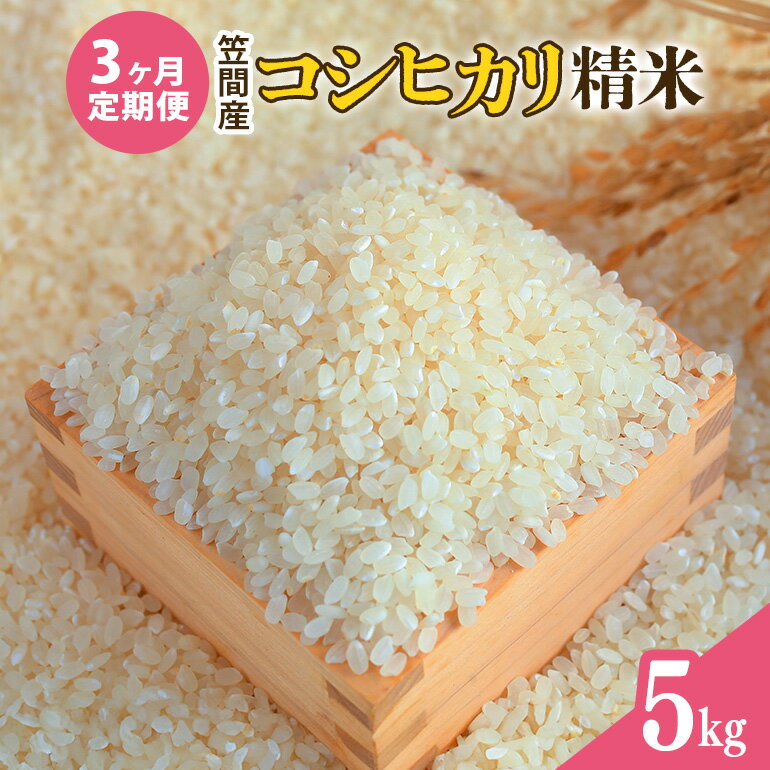 【ふるさと納税】【3カ月定期便】 令和7年度 笠間産 コシヒカリ 5kg (5kg×3回 計15kg) 精米 お米 米 白米 ご飯 茨城県