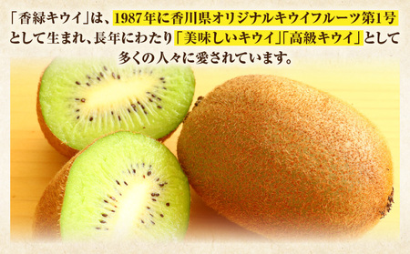 キウイ　美しい緑が鮮やかな　香緑 約750g | 果物 フルーツ 香緑 こうりょく キウイ グリーン フレッシュ ジューシー 香り 爽やか 旬の果物 人気 おすすめ 贈答 贈り物 青果物 糖度 香川県