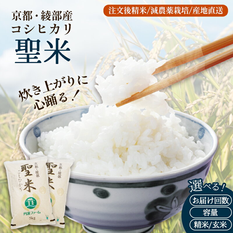 【ふるさと納税】【令和7年度産】 京都府産 コシヒカリ 「聖米」 白米/玄米 5kg 10kg 選べる回数 定期便 お米 米 白米 精米 こしひかり 綾部米 ごはん ご飯 ふっくら もちもち 甘味 旨味 新鮮 安心安全 国産 京都丹波 京都府 綾部市