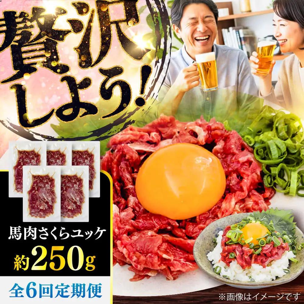 全6回定期便 馬肉さくら ユッケ 約250g ユッケ BHCY031