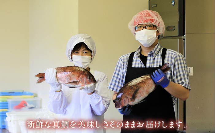 【全12回定期便】鯛茶漬あおさ塩だし 8食入【NEWパンドラ】 [PAD014]