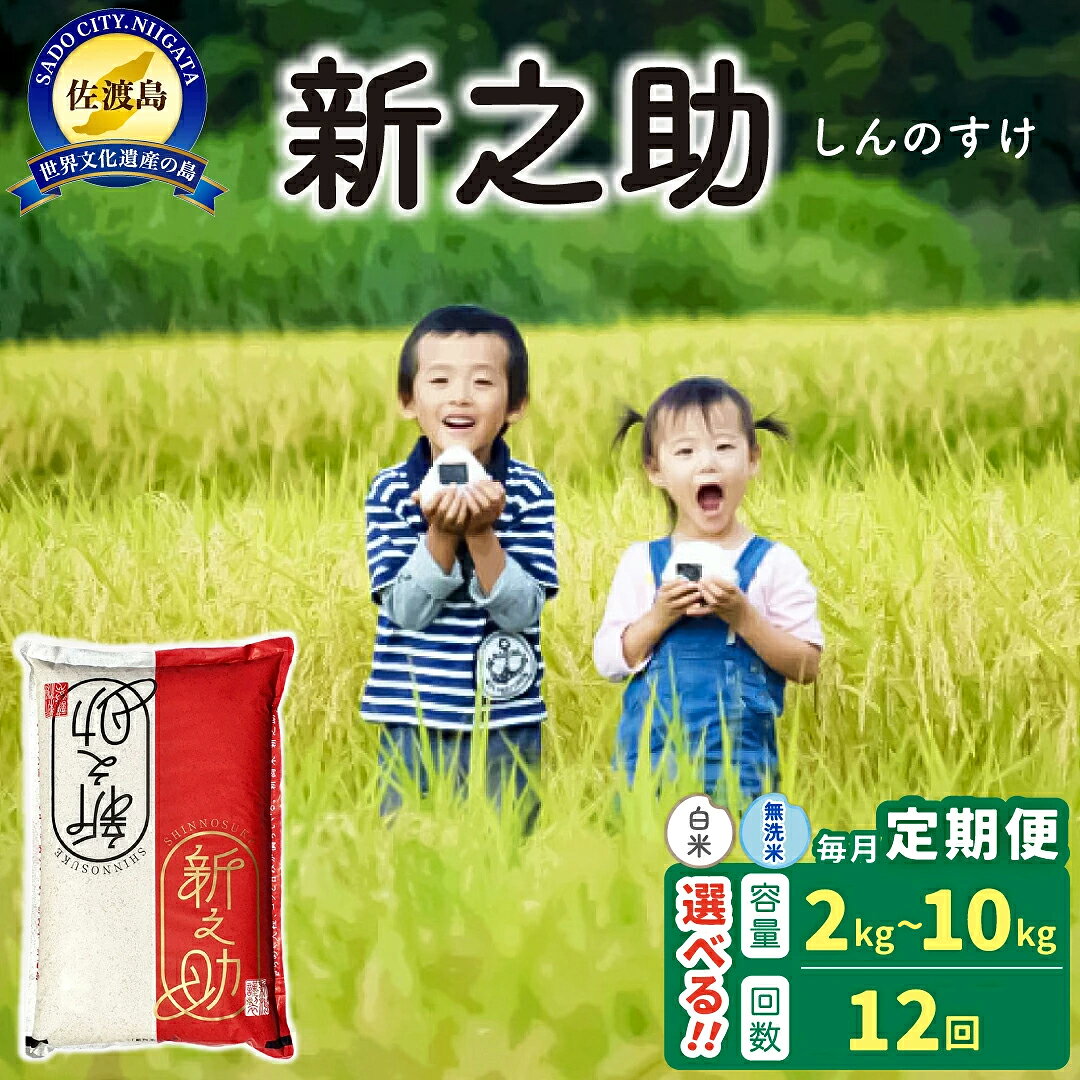 【ふるさと納税】【新米予約 12か月定期便】佐渡島産 新之助 白米 or 無洗米 選べる容量 2Kg 4Kg 5Kg 10Kg 令和8年