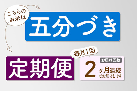 《新米先行受付》《定期便2ヶ月》【5分搗き】あきたこまち 20kg 秋田県産 令和7年産  こまちライン