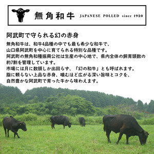 幻の希少和牛 「 無角和牛 100％ 噛む噛む ハンバーグ 」～ 赤身 の旨味と噛む楽しさ～ 材料： 無角和牛 岩塩 山椒 のみ