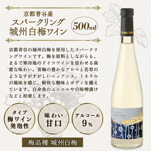 スパークリングワイン飲み比べ 4本セット（日本ワイン スパークリングワインセット 発泡ワイン フルーツワイン 梅ワイン りんご シードル 酸化防止剤無添加 ギフト 贈り物 贈答 プレゼント 飲み比べ 