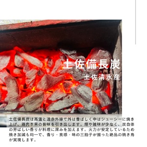 土佐備長炭焼き 四万十鶏の焼き鳥 25本 塩 もも肉 冷凍 惣菜 調理済み【R01442】