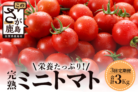 【先行予約】 完熟ミニトマト『Ricotomato』 【1kg×3回定期便】 【2024年12月から出荷】 E-68