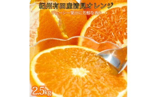 
            とにかくジューシー清見オレンジ 約2.5kg［2026年3月下旬以降発送］［先行予約］［UT131］
          