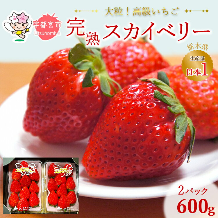 【ふるさと納税】高級いちご 完熟スカイベリー2パック 600g ｜ 栃木 スカイベリー 甘い 糖度 旬 新鮮 フルーツ 果物 アレンジ スイーツ 贈答用 ※2025年12月下旬～2026年3月下旬頃に順次発送予定 ※沖縄・離島への配送不可