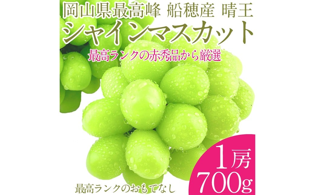 
            プレミアムシャインマスカット晴王 船穂Ver  赤秀ぶどう1房 約700g 【先行予約：2026年9月上旬～10月下旬発送予定】船穂産 岡山県最高産地 赤秀品以上 岡山県産 皮ごと食べる みずみずしい 糖度保証 クール発送 満天フルーツ 倉敷市
          