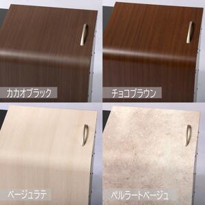 ホームスライドダスポン スリム プレミアムモデル カカオブラック（木目調）