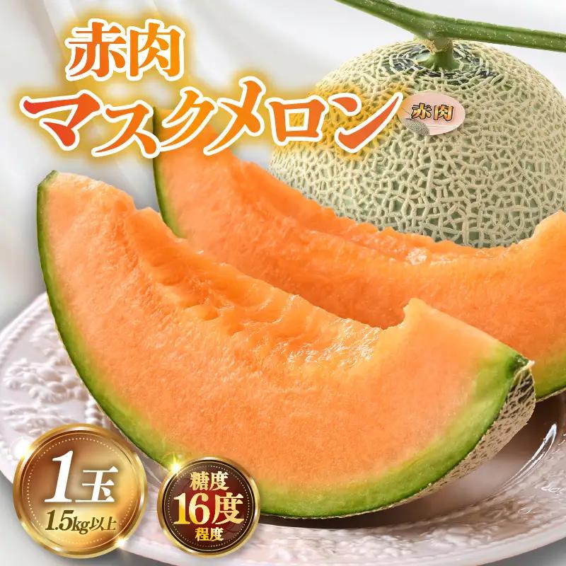 【先行予約】赤肉パリスメロン 秀品 1玉（1.5kg以上）【アールス系赤肉メロン】《糖度16度程度！1株1果採りで育てる高級メロン！》／ 果物 フルーツ 農家直送 赤肉 マスクメロン アールスメロン ギフト 贈答用 ※2026年7月上旬より順次発送予定 [aw028-a005]