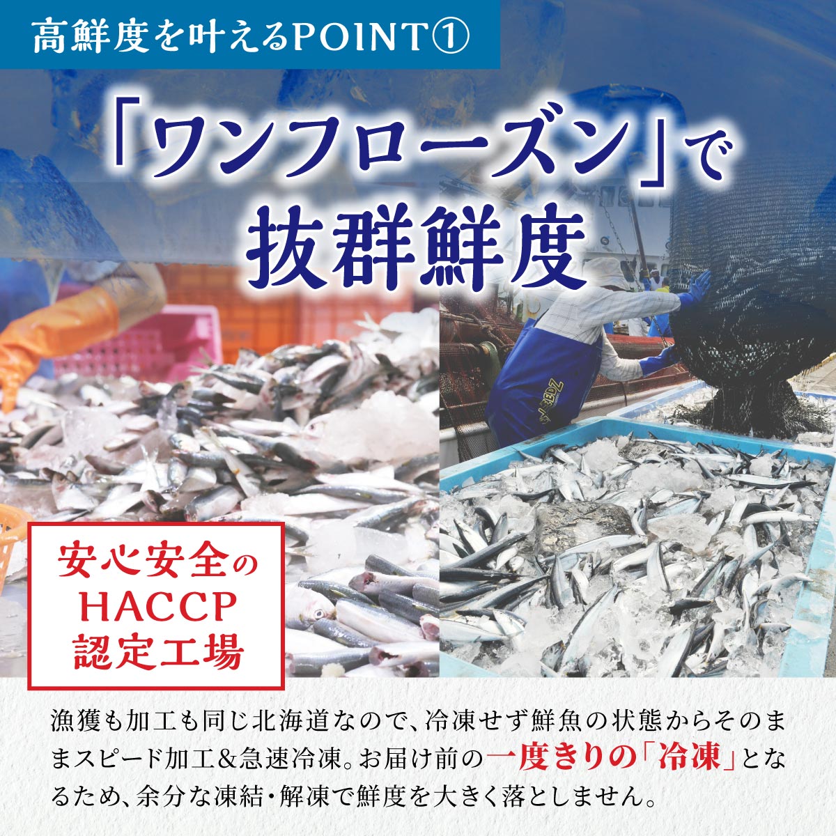 北海道産「刺身さんま」【12枚×3パック（18尾分）】