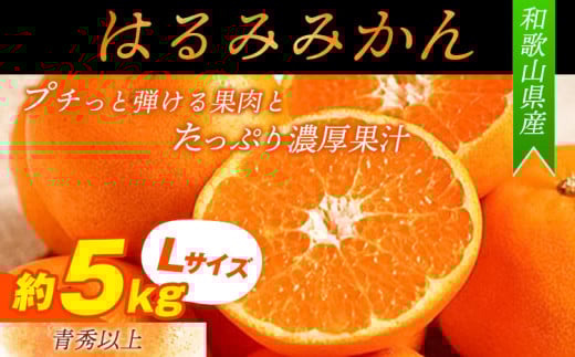 【先行予約】【厳選・濃厚】紀州有田産のはるみ約5kg(Lサイズ)《2026年1月下旬-2月中旬出荷》和歌山県 日高町 みかん はるみ 厳選 柑橘 フルーツ 送料無料