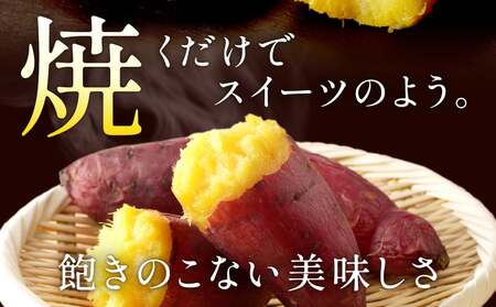 人気品種「紅はるか・シルクスイート」の食べ比べ！ 【数量限定】北海道雨竜町産 さつまいも 食べ比べセット「シルクスイート・紅はるか」 Sサイズ 2.5kg 小さめサイズ 産地直送 さつまいも サツマイ