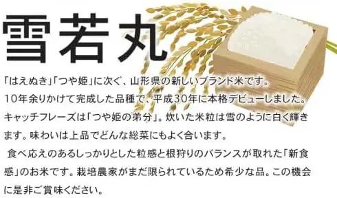 【令和8年産先行予約】 特別栽培米雪若丸 無洗米 10kg (5kg×2袋) ×6ヶ月【定期便】 山形県鶴岡産　鶴岡協同ファーム