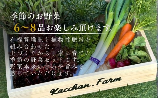 時期によって内容は変わります。