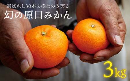 先行予約 幻の原口みかん 約3kg ＜原口果樹園＞[CCW004] みかん