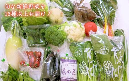 旬の新鮮野菜セット 大満足な13種以上【野菜詰め合わせ】