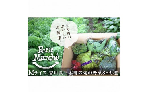 【ふるさと納税】プチマルシェお野菜ボックス(M)　季節の野菜8〜9種類　≪　IDOMALL　セレクト≫ 野菜 新鮮 冷蔵 旬 香川県 野菜ボックス 季節の野菜 青果物 季節 マルシェ 冷蔵 おすすめ