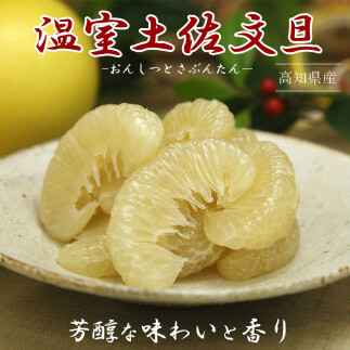 【先行予約】特選温室土佐文旦 贈答用 約3kg 中玉6個もしくは大玉5個入り〈2026年12月上旬～12月下旬頃〉 / 高糖度 温室 ハウス文旦 特選秀品ご贈答用中箱 柑橘 みかん フルーツ ぶんたん