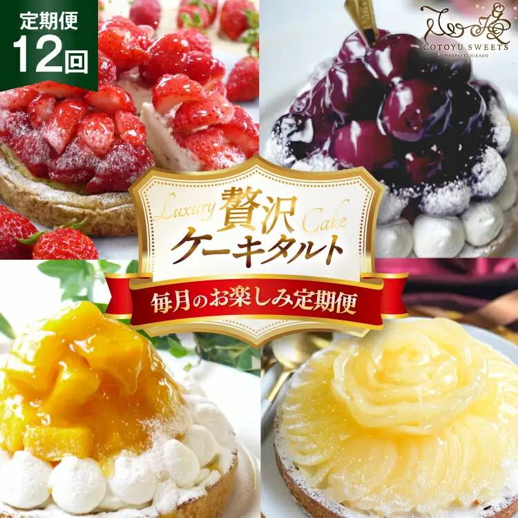ケーキ 大人のタルト 定期便 12回 定期便 総計12ホール