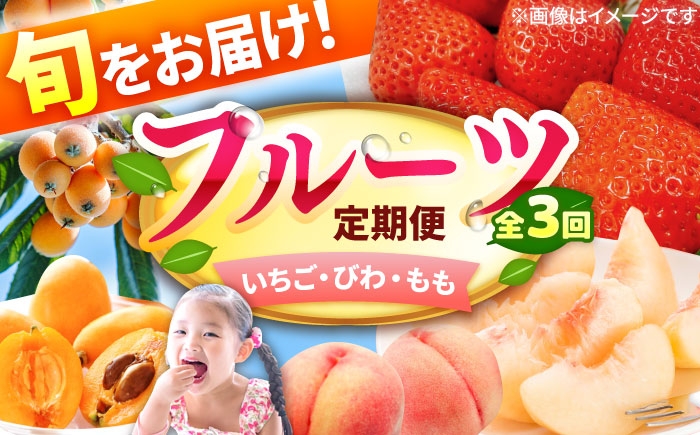 
                  フルーツ定期便【3回定期便】（あまおう/びわ/桃）苺 いちご イチゴ ビワ 枇杷 モモ もも 定期便 旬 果物 くだもの フルーツ デザート 食べ比べ 新鮮 fruit ふるーつ デザート でざーと biwa momo strawberry ichigo itigo fruit  あまおう 定期 広川町 / JAふくおか八女農産物直売所どろや [AFAB089]
                
