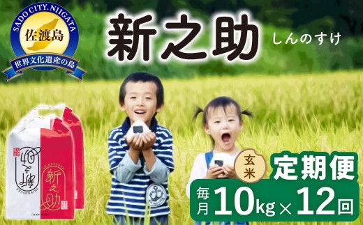 【12か月定期便】佐渡島産 新之助 玄米 合計120kg（10kg（5kg×2袋）×毎月全12回）令和8年産 新米 単一原料米 | 新潟県産新之助 新潟産新之助 佐渡産新之助 しんのすけ 新之助 お米 米 玄米 げんまい 水稲うるち玄米 ブランド米 おこめ コメ 10キロ にいがた さど 新潟県 佐渡市