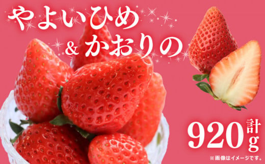 先行予約  訳あり いちご やよいひめ かおりの 2種セット 920g  苺 ストロベリー 果物 フルーツ ケーキ ゼリー ジュース アイス シャーベット チョコ フルーツサンド いちご大福 大福 洋菓子 和菓子 スイーツ デザート ジャム 不揃い 規格外 家庭用 甘い 人気 おすすめ お取り寄せ グルメ 徳島県 阿波市 Berry Mate Farm