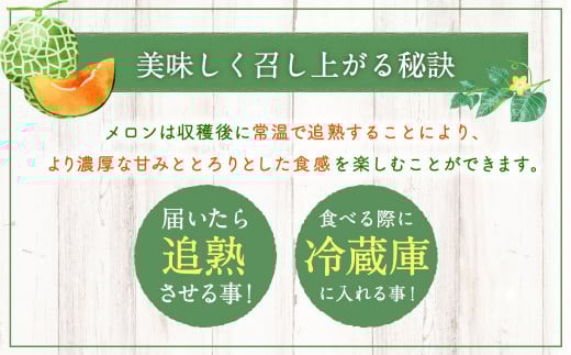 ＜先行受付＞北海道産 北斗メロン「赤肉メロン」〈Lサイズ〉2玉（優品以上／2玉で約3kg）【2025年6月下旬-7月下旬 順次発送予定】フルーツ メロン 果物 赤肉_イメージ3